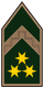 Rangering Army Ungarn OR-09.svg