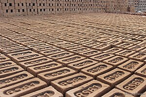 Raw Indian brick.jpg