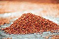 Red Millet