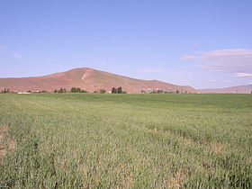 Red Mountain (Washington) httpsuploadwikimediaorgwikipediacommonsthu