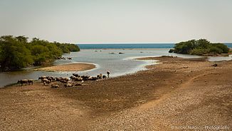 Estuary in Vemasse