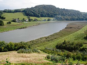 River Tamar, near Bohetherick - geograph.org.uk - 977730.jpg