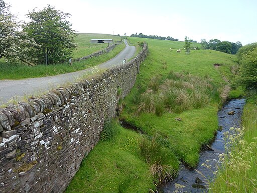 Road and stream near Wildboarclough - geograph.org.uk - 4027268