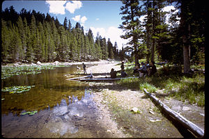 Rocky Mountain National Park ROMO9118.jpg