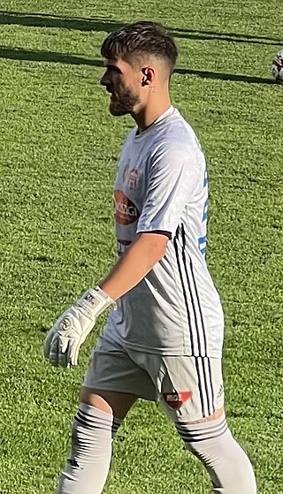 <span class="mw-page-title-main">Roland Niczuly</span> Romanian professional footballer