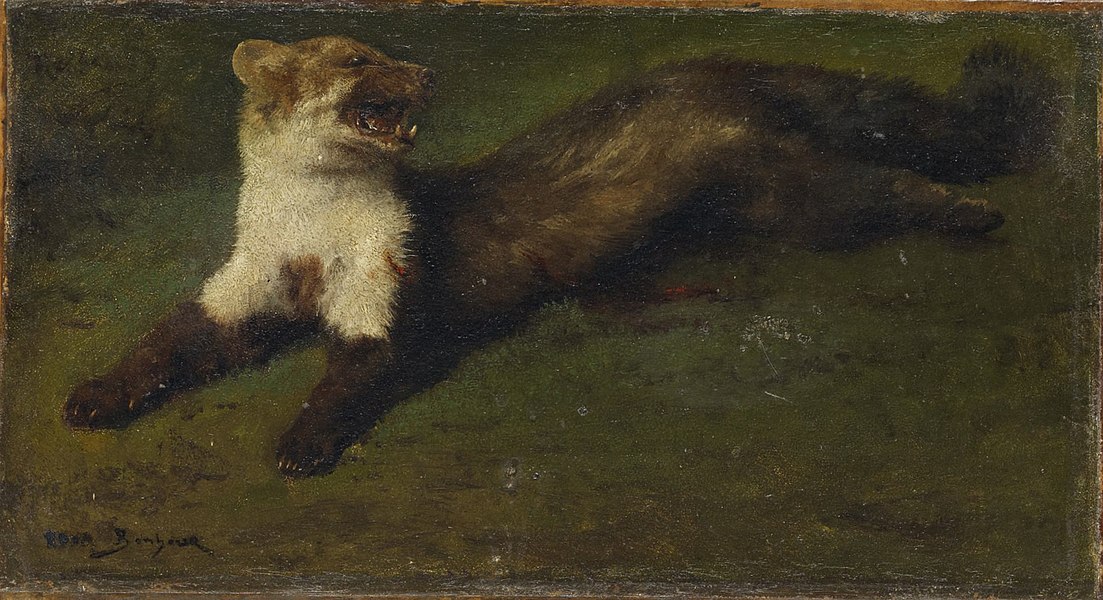 rosa bonheur - image 2