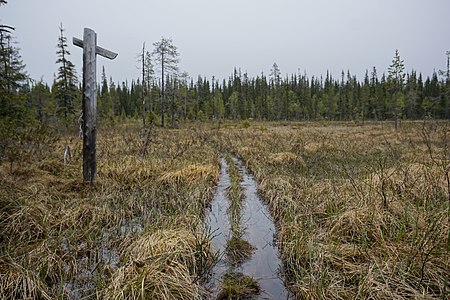 Ruijanpolku kesäkuussa 2017