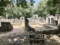 Ruins of Gedi