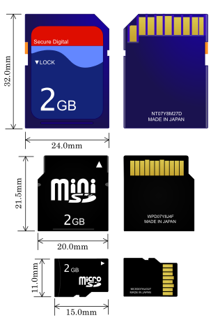 303px-SD_Cards.svg.png
