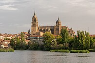 Salamanca (new) 2023 - View from the river