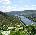 Moselle