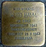 Hugo Hamm