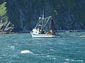 A seiner netting salmon in July off the coast of Raspberry Island, Alaska