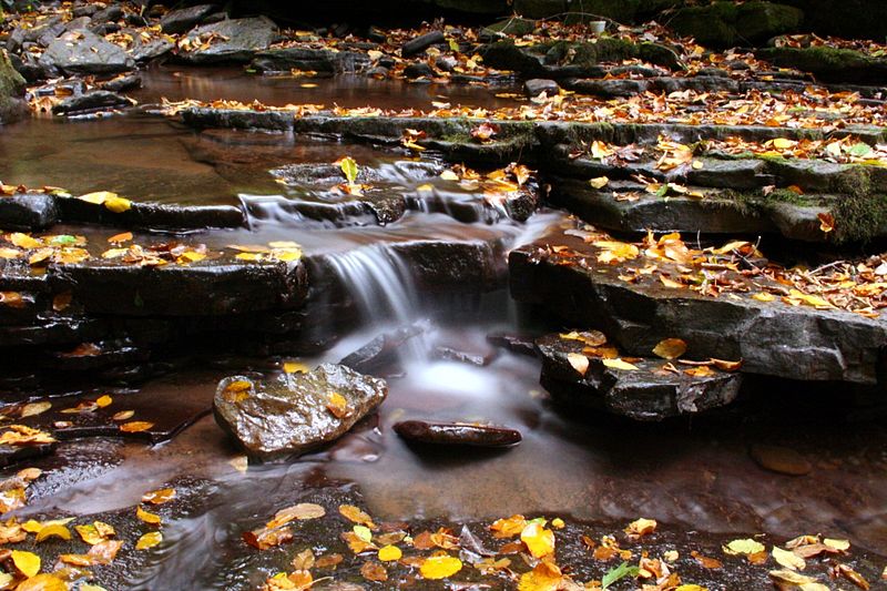 File:Seneca-waterfalls-6 ForestWander.jpg