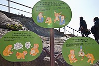 Sign in Miyajima.jpg