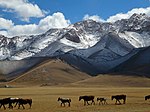 Silk road kyrgystan svr.jpg