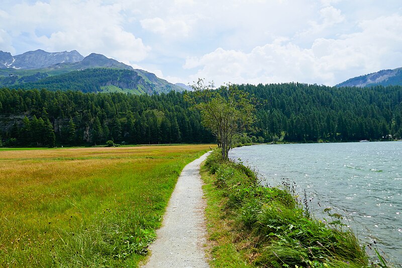 File:Sils im Engadin - trail.jpg