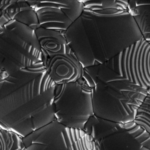 external image 300px-Silver_surface_crystal_growth_SEM.png