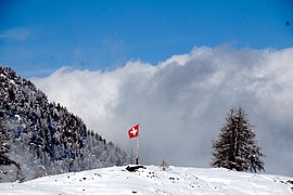 Vertical Dipole with Swiss flag