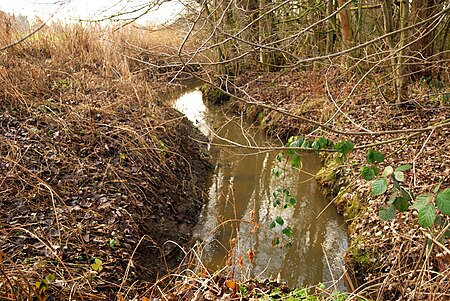 Sint Martens Bodegem, Molenbeek Zuid