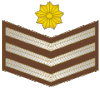 South African Army OR-7 (1994-2002).gif