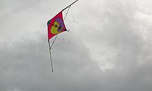 Dual-line sport kite shown from below. The control lines, standoffs, and 3D shape are more visible from this vantage point. SportKiteFlying.jpg