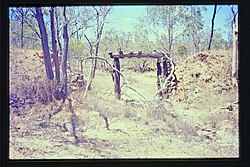 Stannary Hills to Boonmoo and Stannary Hills to Irvinebank Tramway formations (2003).jpg