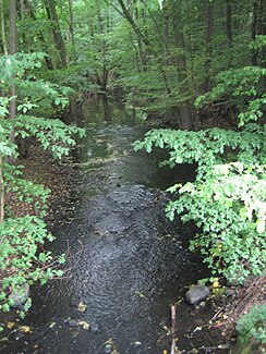 Steinau near Mannhagen