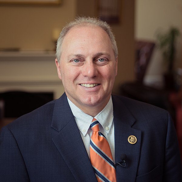 File:Steve Scalise 116th Congress official photo (1).jpg