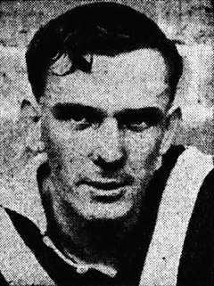 Steve Marsh (footballer) Australian rules footballer