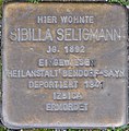 image=https://commons.wikimedia.org/wiki/File:Stolperstein_Euskirchen,_Sibilla_Seligmann_(Kommerner_Stra%C3%9Fe_64).jpg