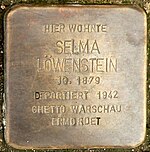 Stolperstein Hamelnben a Selma Löwenstein.jpg számára