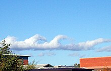 Stratocumulus fluctus Stratocumuluskelvinhelmholtz.jpg