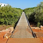 Streeter's Jetty, 2019 (02).jpg