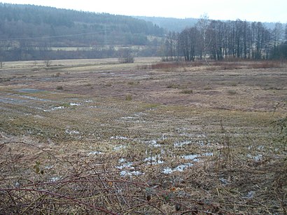 So kommt man zu Struth Von Altengronau mit den Öffentlichen - Mehr zum Ort Hier