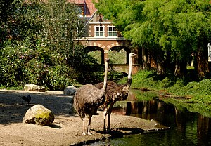 Vogelpark Avifauna