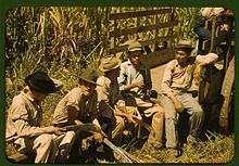 Sugar cane workers in Puerto Rico, 1941 Sugar cane workers resting 1a34016v.jpg