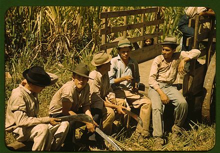 Sugar cane workers in Puerto Rico, 1941