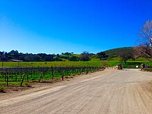 Vineyard in Santa Ynez. Sunstone-Vineyards-in-Santa-Ynez-Valley-Winetour-Visit-American-Luxury-Limousine-2015.jpg