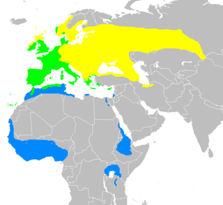        Breeding summer visitor        Resident year-round        Winter visitor (ranges are approximate)