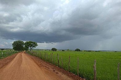 Temporada de chuvas na zona rural de Palestina, Orós - Ceará. Foto: Maria Martins.
