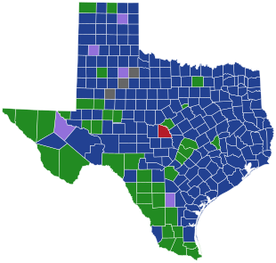 Texas Democratic presidential primary election results by county, 2020.svg