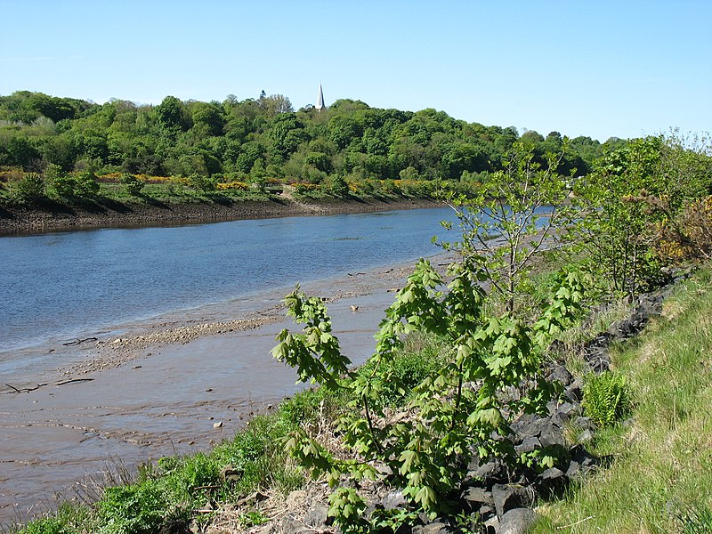 File:The River Tyne - geograph.org.uk - 3495544.jpg