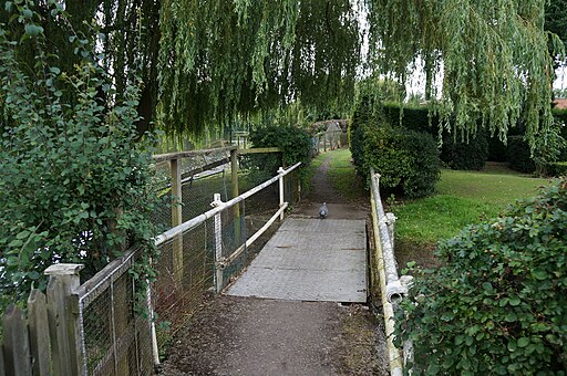 The Riverside path at Acaster Malbis - geograph.org.uk - 4107264