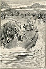 Thumbnail for File:The world of the great forest - how animals, birds, reptiles, insects talk, think, work, and live (1900) (14747862921).jpg
