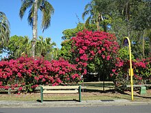 Thomas Park, north boundary (2014) with bus stop.jpg