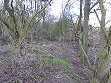 Thrapston Stasiun Quarry 3.jpg