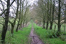 A woodland walk in Tittensor Tittensor Chase - geograph.org.uk - 291312.jpg