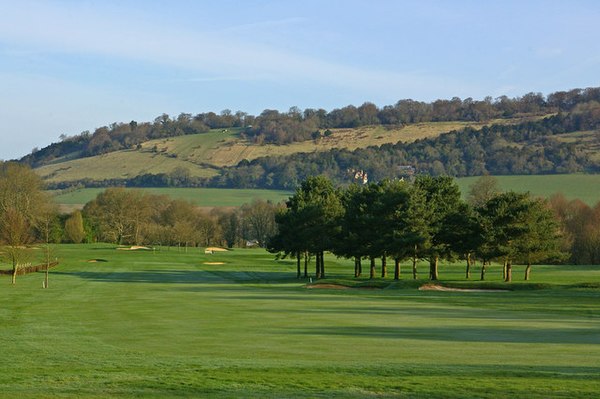 Box Hill viewed from the south. Photograph taken from Betchworth Park Golf Course.