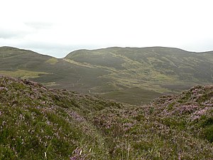 Meall an Aodainn